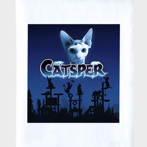 Casper Cat Blanket #1