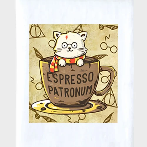 Harry Potter Cat Blanket #1
